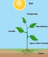 /album/fotogaleria-blog/images-23-jpg1/